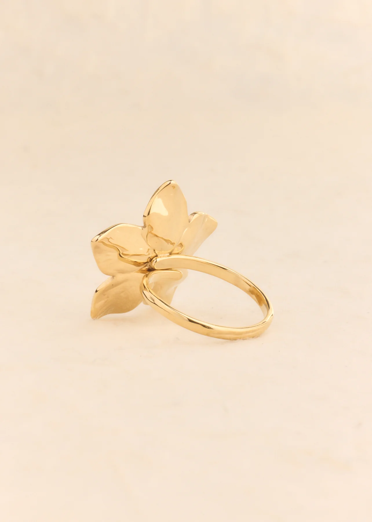 Miniature 5